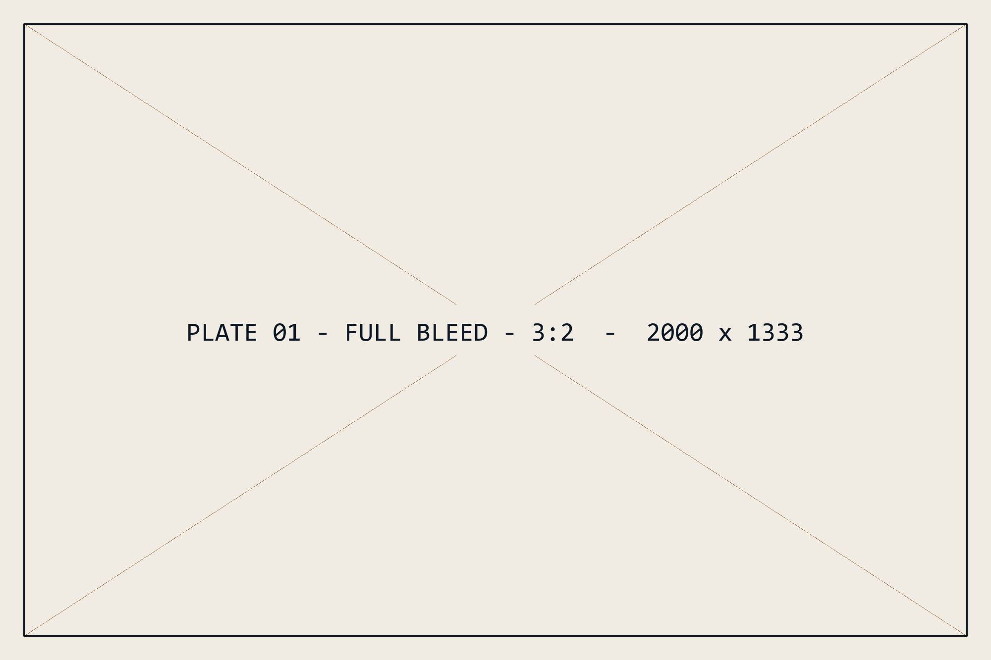 Placeholder plate 01 — full bleed