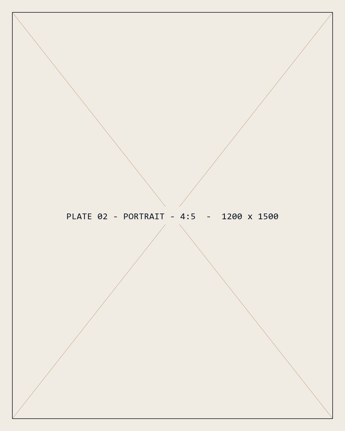 Placeholder plate 02 — portrait
