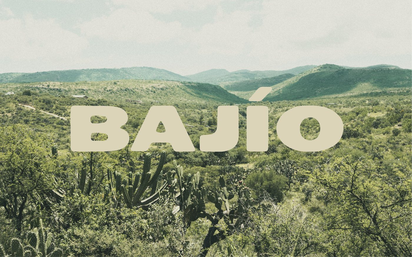 Bajío — hills, scrub and cardón cactus in the high country
                outside Guanajuato, México. Artwork for FRANKITO Trading Co. La Carga No. 1.
